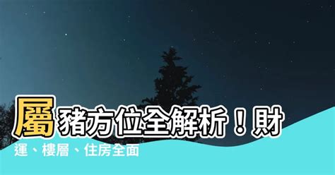 屬豬適合的樓層|屬豬的人住什麼房子 